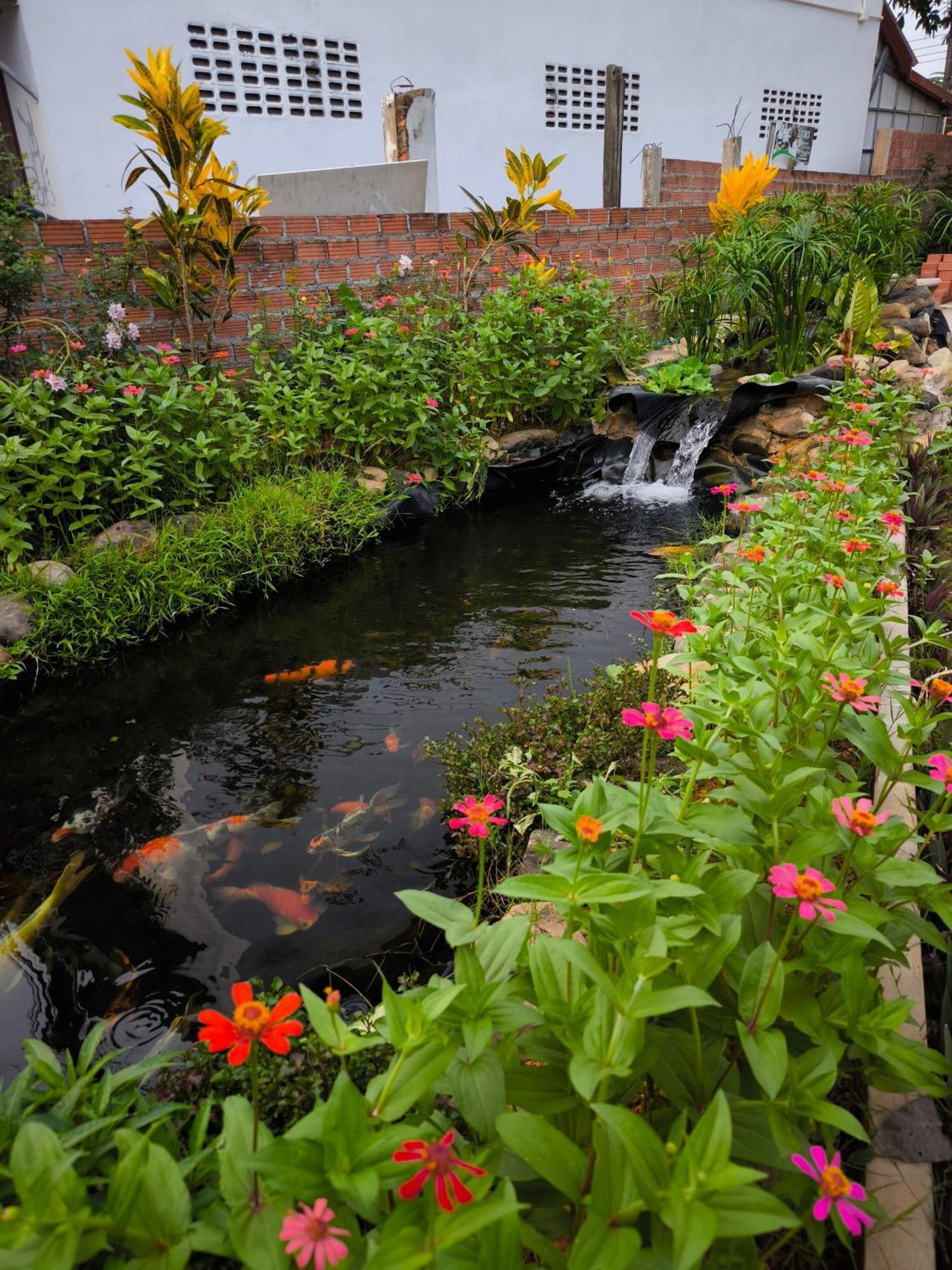 Dok Champa Resort 방 비엥 외부 사진