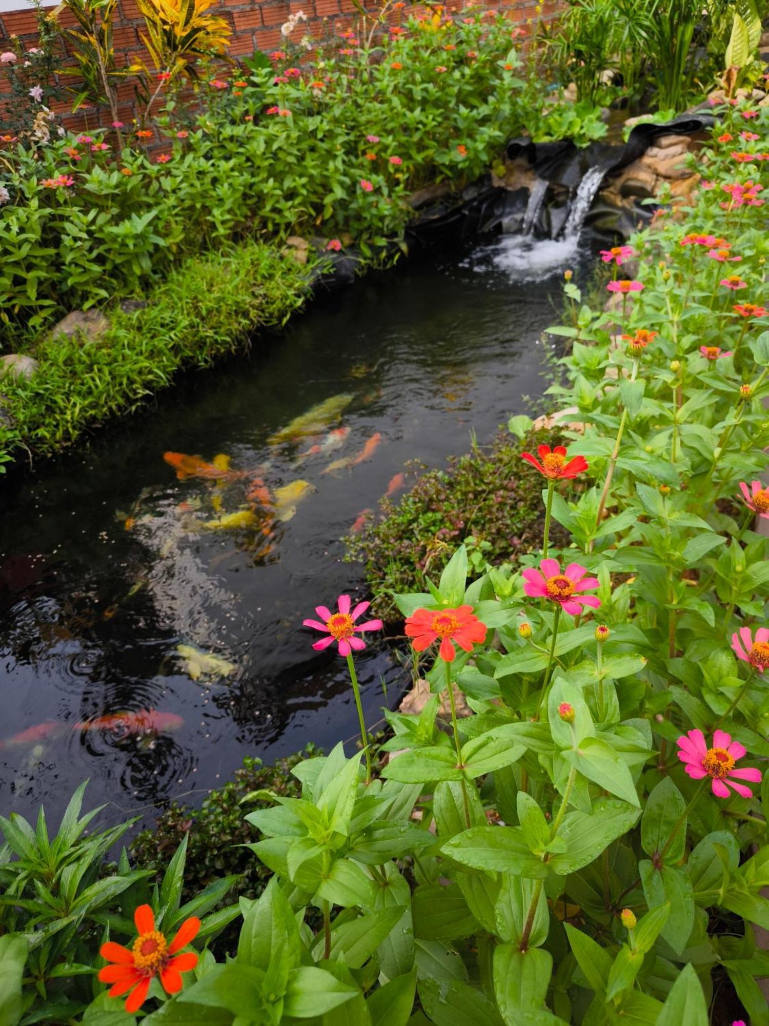 Dok Champa Resort 방 비엥 외부 사진